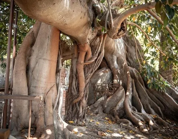 Apartmán Casa Porta Della Maddalena Bordighera Itálie